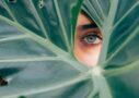 woman peeking over green leaf plant taken at daytime